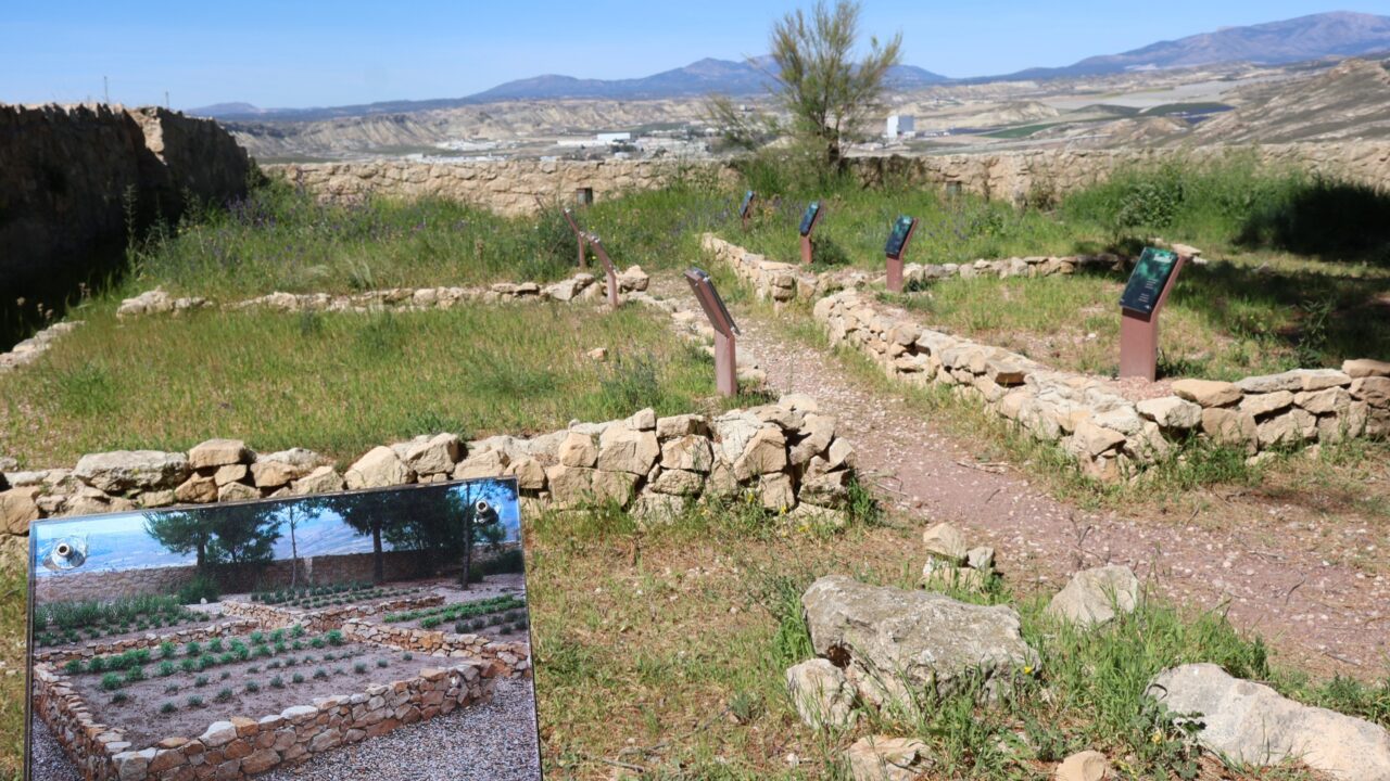 EL MANTENIMIENTO:LA CLAVE PARA NO MORIR DE ÉXITO(O DE ABANDONO)